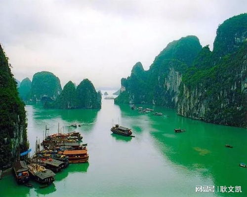 國際旅游公司資質要求與辦理指南 國內游與入境游詳解